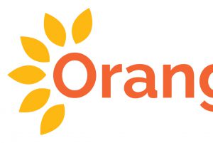 Orange Badge Mobility Services Logo Design