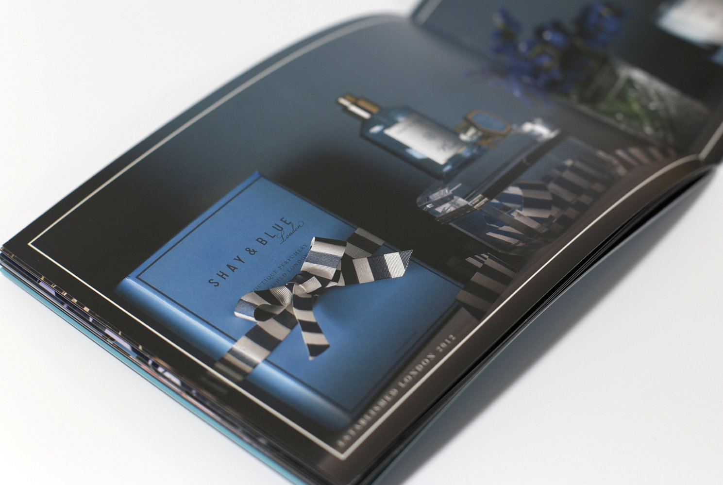 Close-Up of Shay & Blue Brochure Design