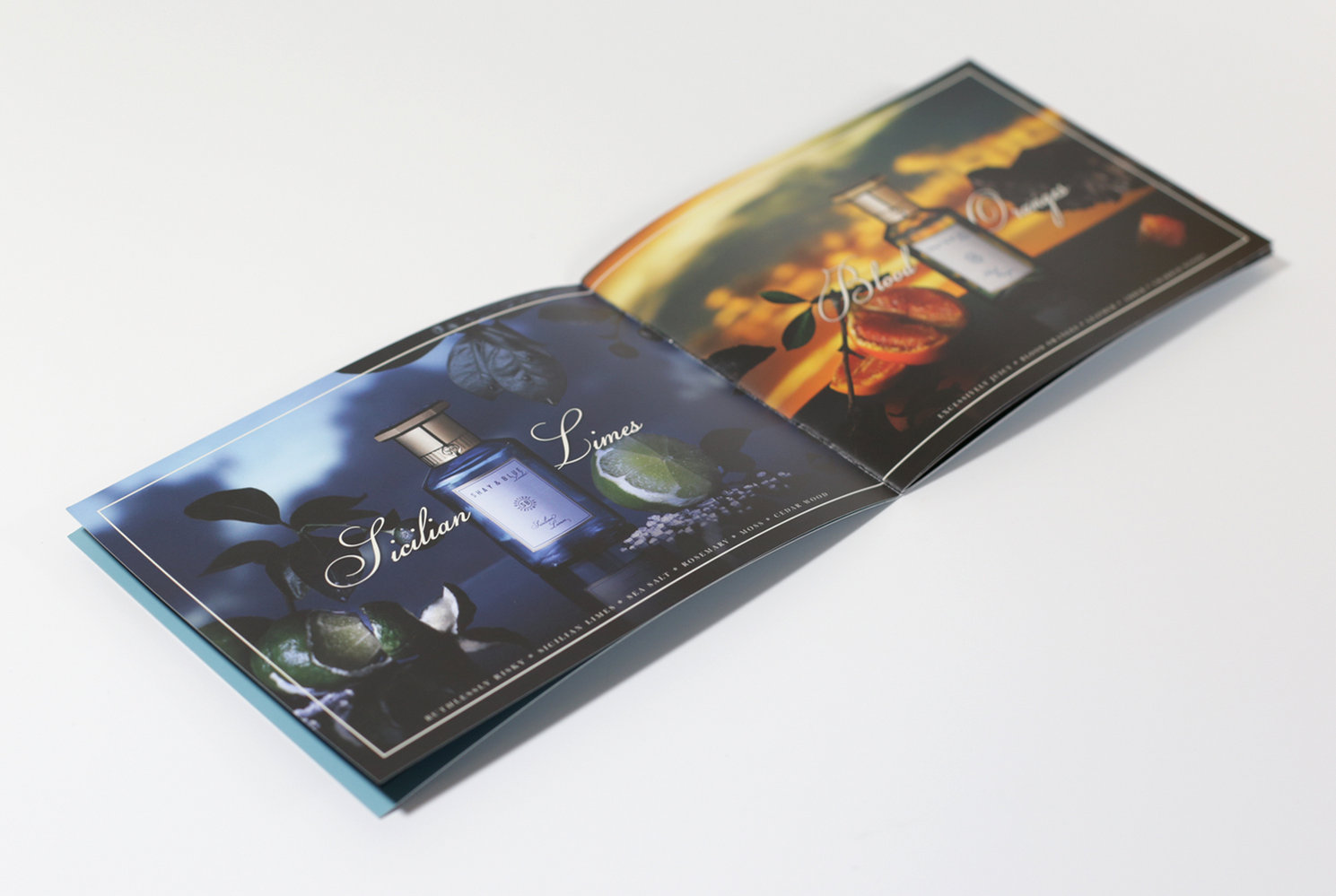 Shay & Blue Brochure Design Double-Page-Spread