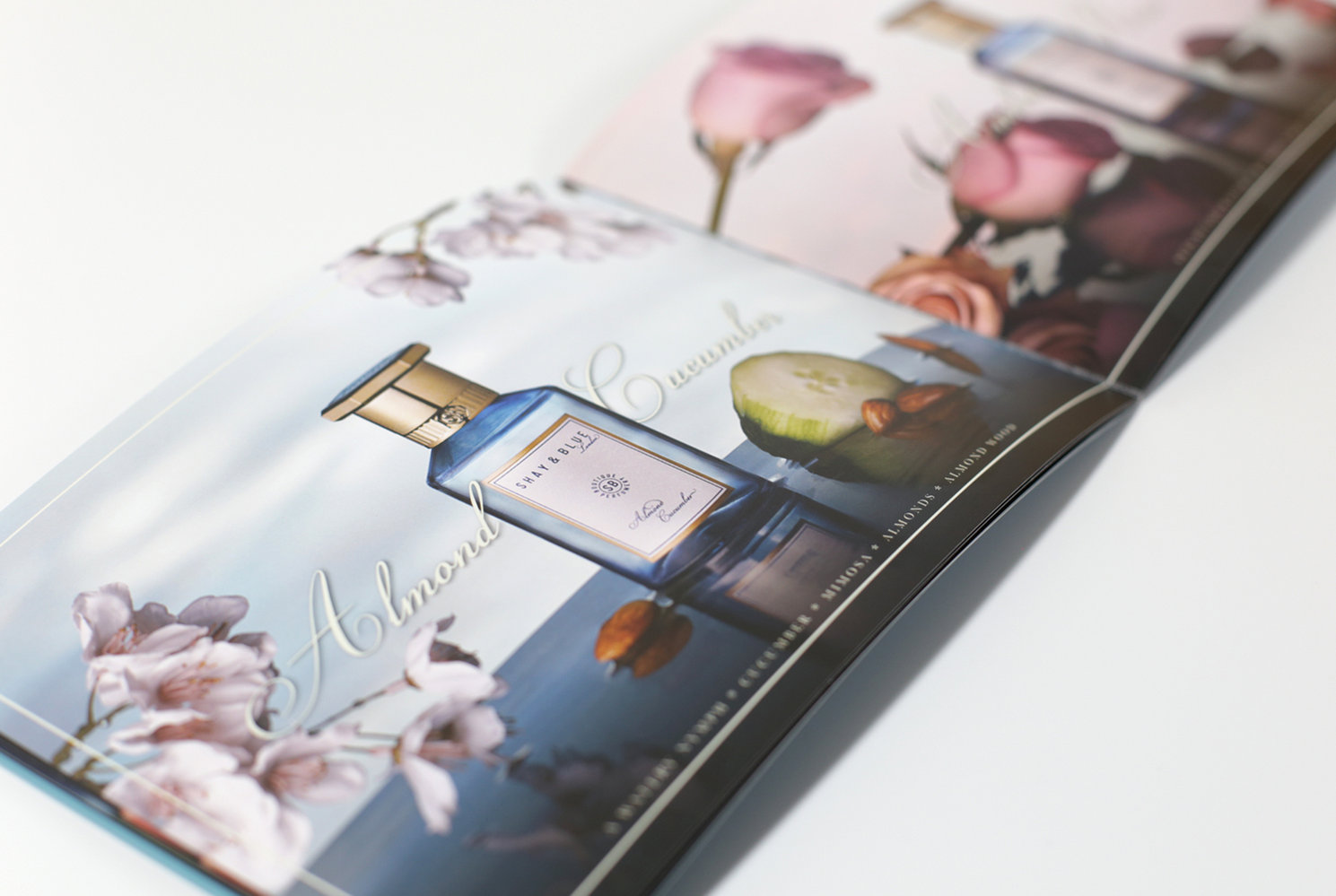 Close-Up of Shay & Blue Brochure Design