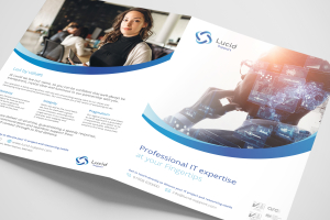 Lucid Support - recruitment brochure design & production