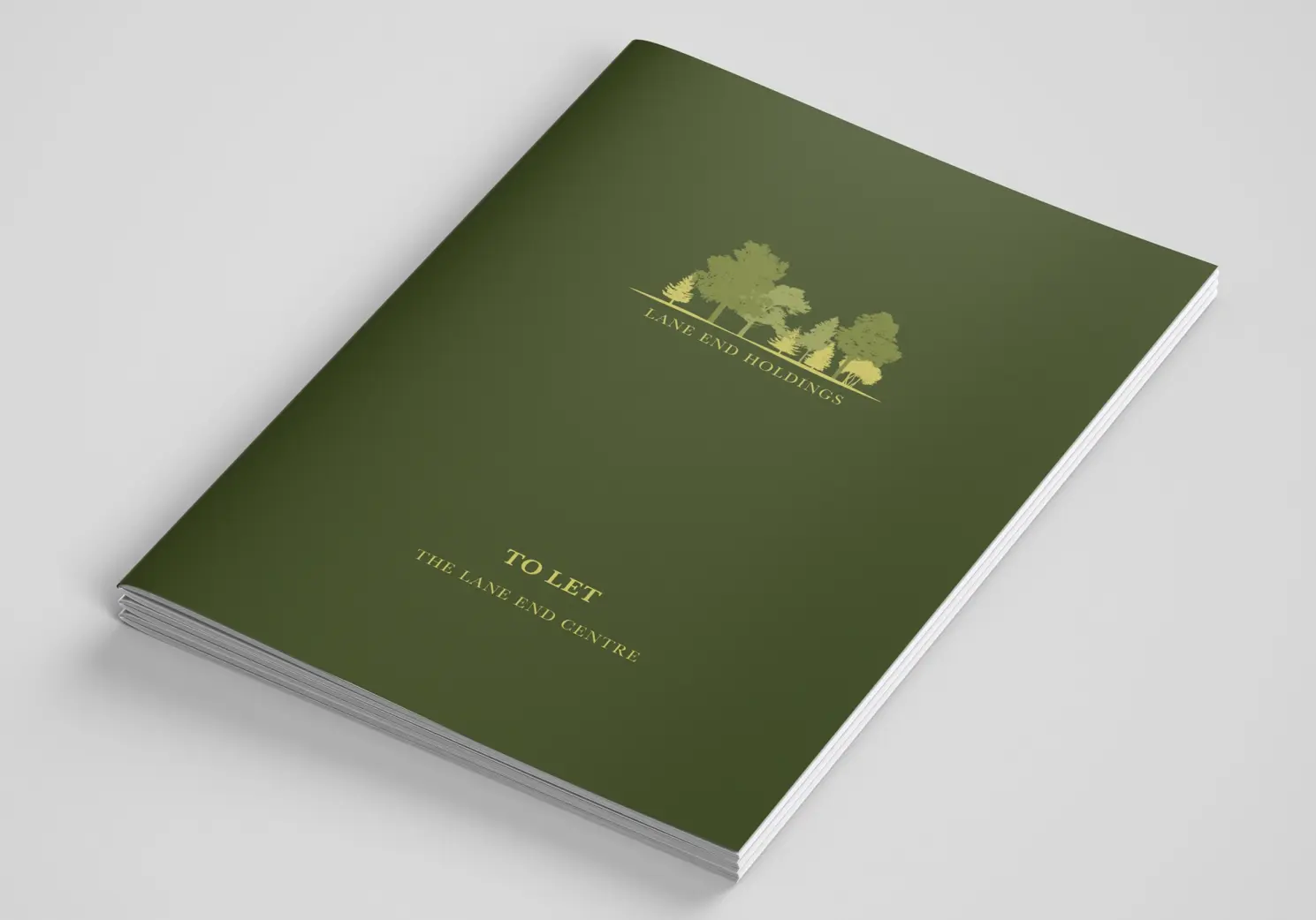 Lane End Centre Property Brochure Front Cover